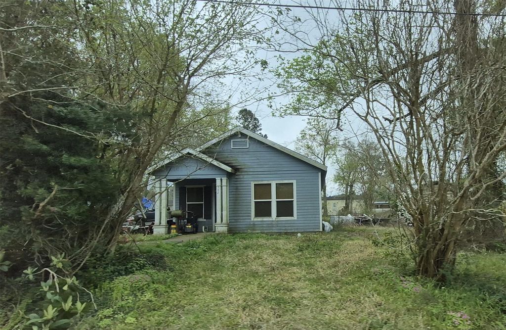Photo of 542 Horn Road, Lumberton, TX 77657 (MLS # 39763655)