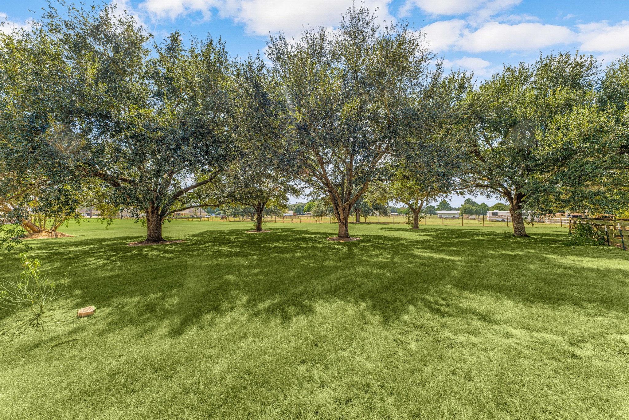 17207 Penick Road