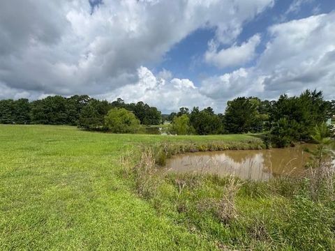 Photo of 37 Silver Lakes Drive, Huntsville, TX 77340 (MLS # 46037959)
