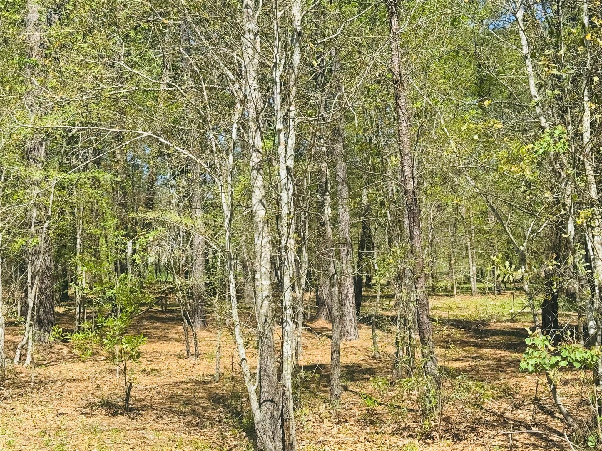 0 Creekbend Drive