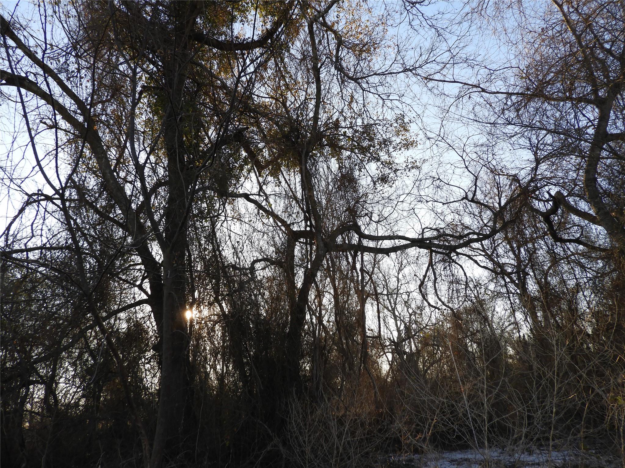 188 Highland Branch Drive Drive