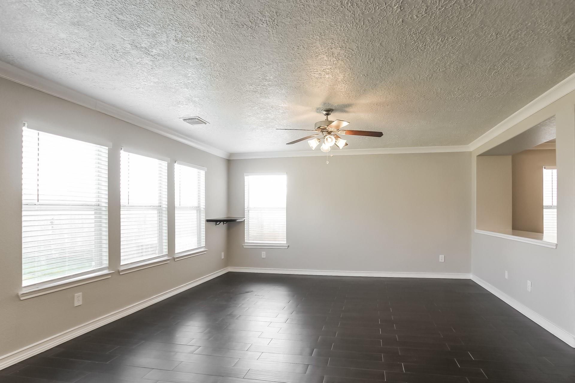 11234 Wild Goose Drive