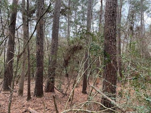 Vacant Land For Sale - HALL Survey<br/> Colmesneil, TX 75938