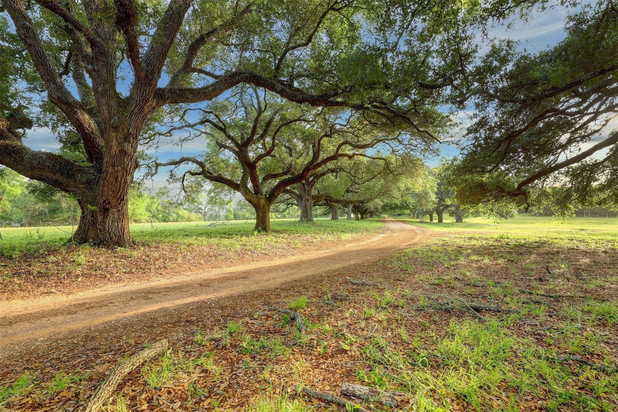9601 Old Cedars Court