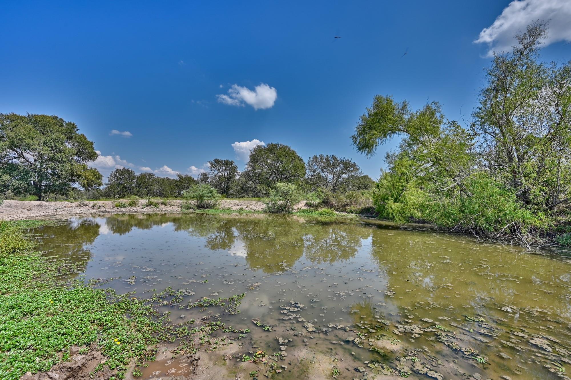 TBD(+/-237.91 AC) Hwy 36 S