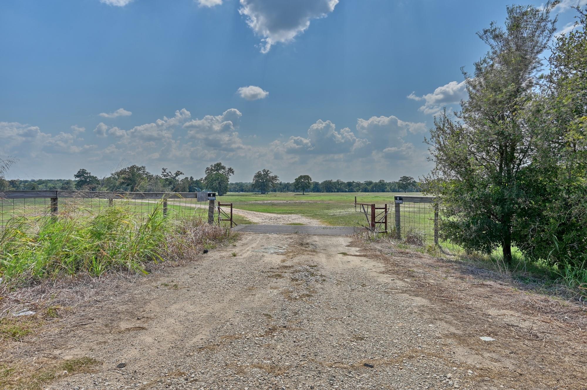 TBD(+/-237.91 AC) Hwy 36 S