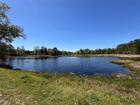 Vacant Land For Sale - TBD River Jordan Drive<br/> Shepherd, TX 77371