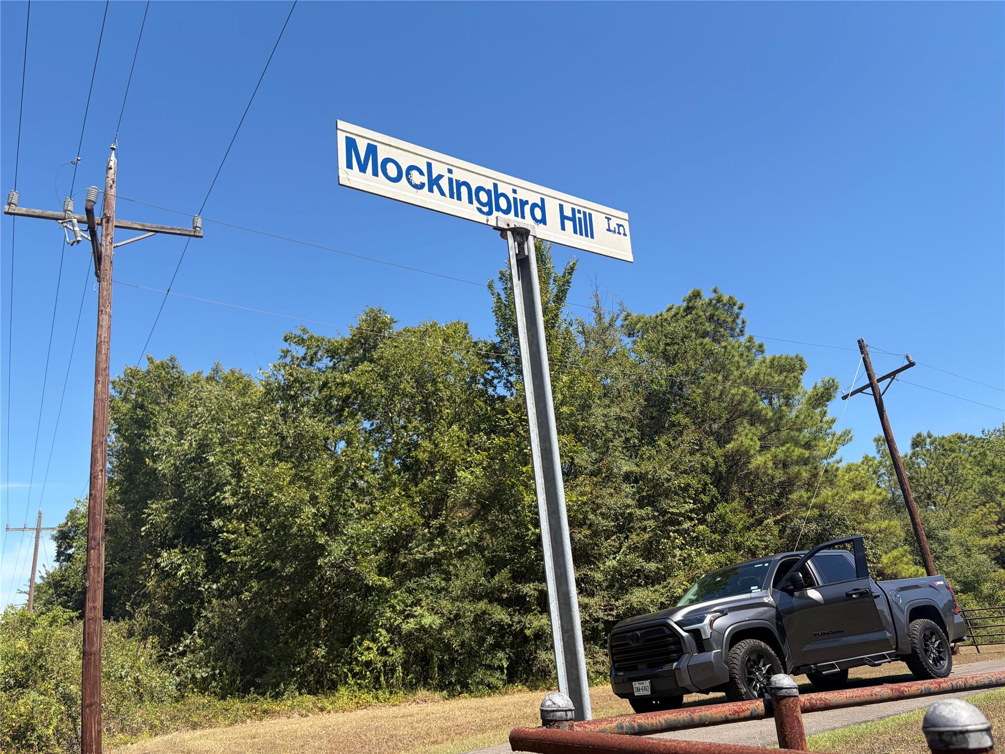 0000 Mocking Bird Lane