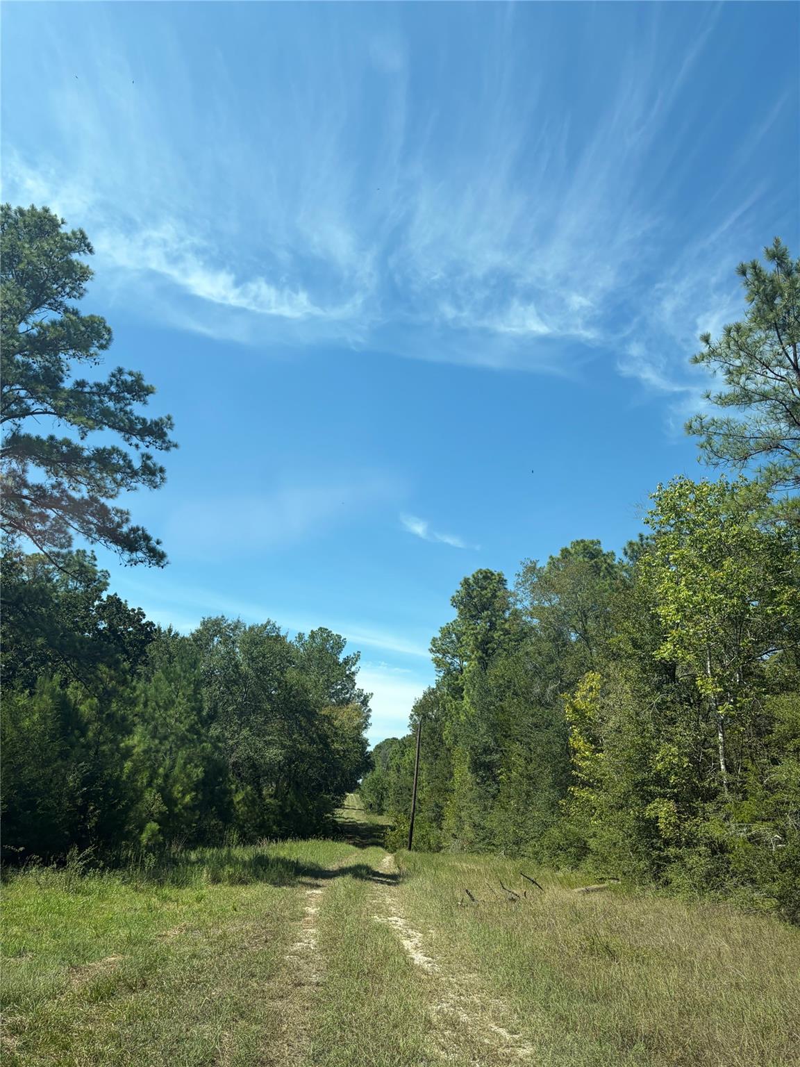 0000 Mocking Bird Lane