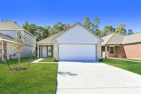 Photo of 13416 White Ibis Street, Splendora, TX 77372 (MLS # 34288413)