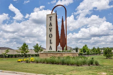 Homes For Sale - 18081 Trepito Avenue<br/> Montgomery County, New Caney, TX 77357
