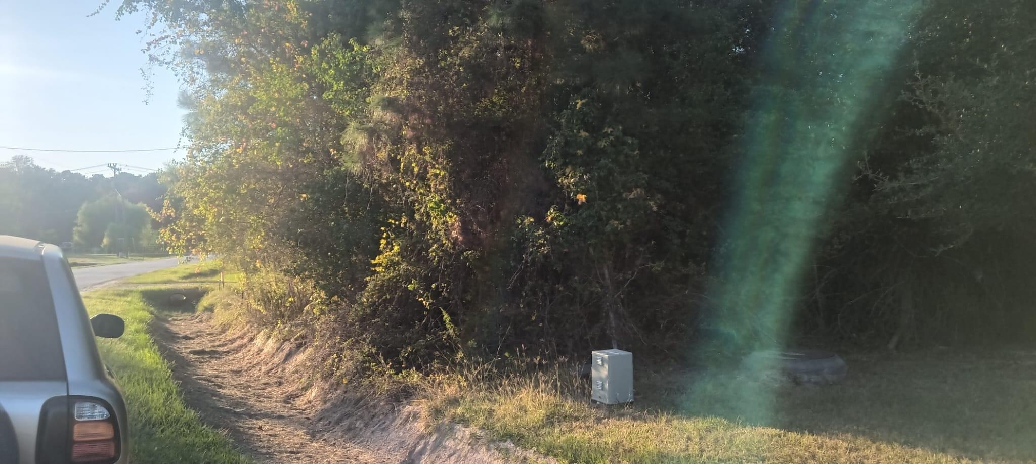 49 County Road 3479a
