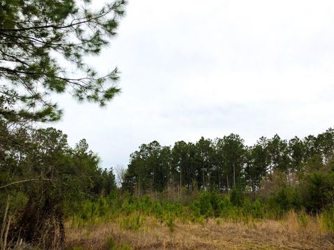 Photo of 12 Cr 4415, Spurger, TX 77660 (MLS # 25184253)