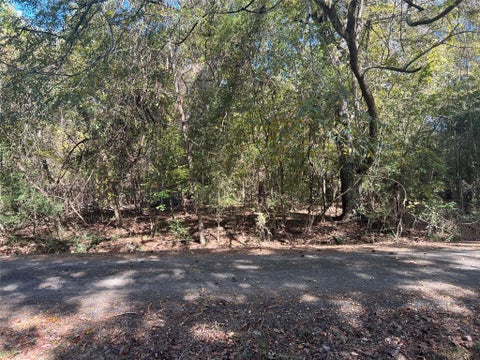 Photo of 127 Holly Crest, Livingston, TX 77351 (MLS # 97779863)