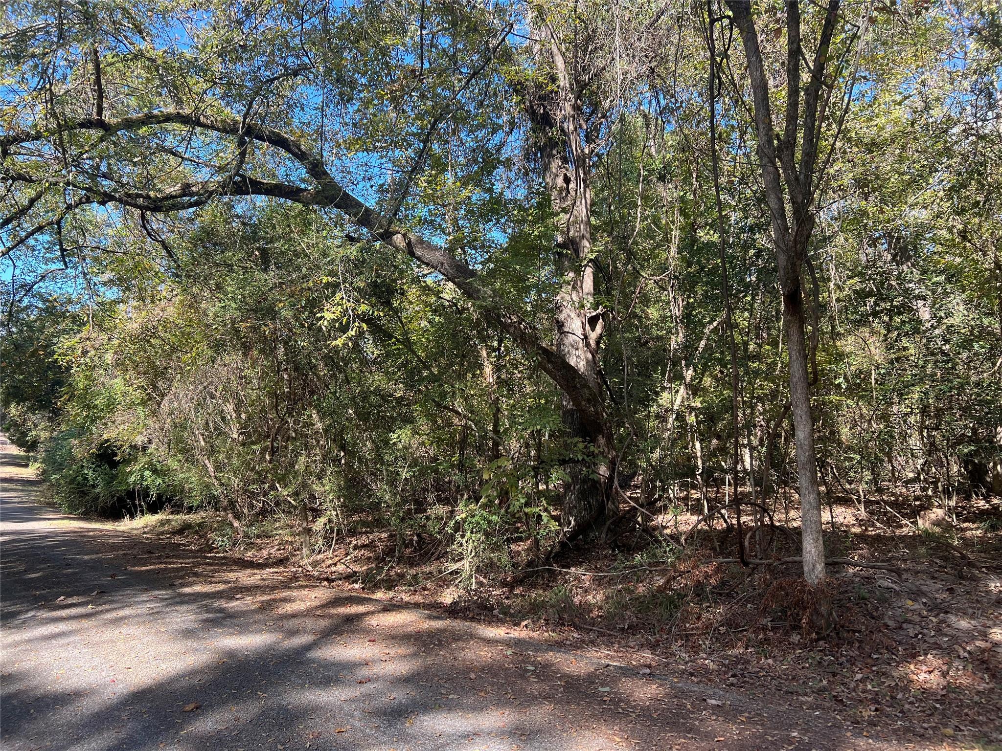 Lot 127 Holly Crest