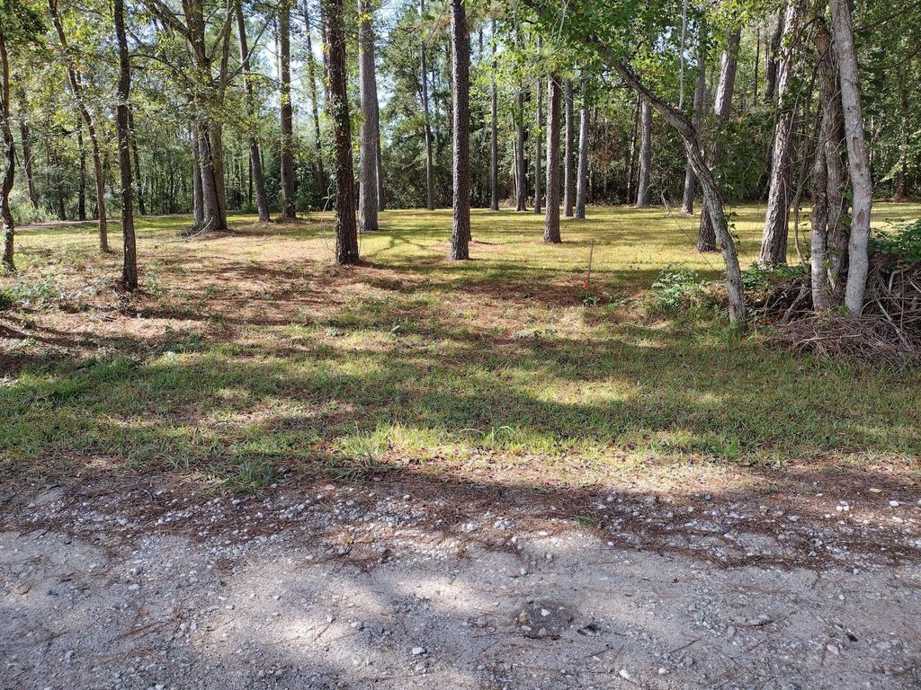 Photo of 0 Barbil Lane, Huffman, TX 77336 (MLS # 60920870)