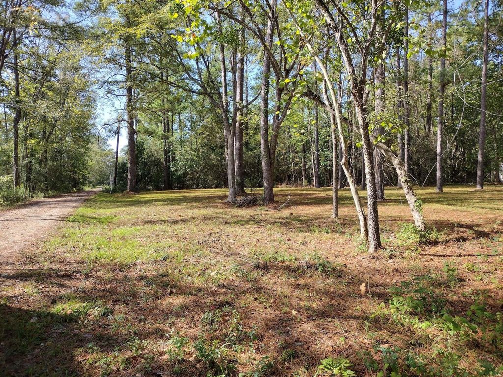Photo of 0 Barbil Lane, Huffman, TX 77336 (MLS # 60920870)