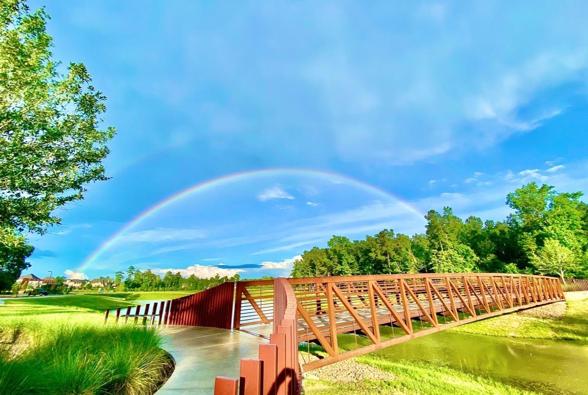 115 West Coralburst Loop