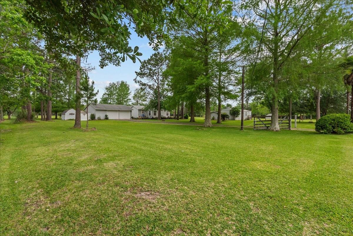 7808 Carolyn Street