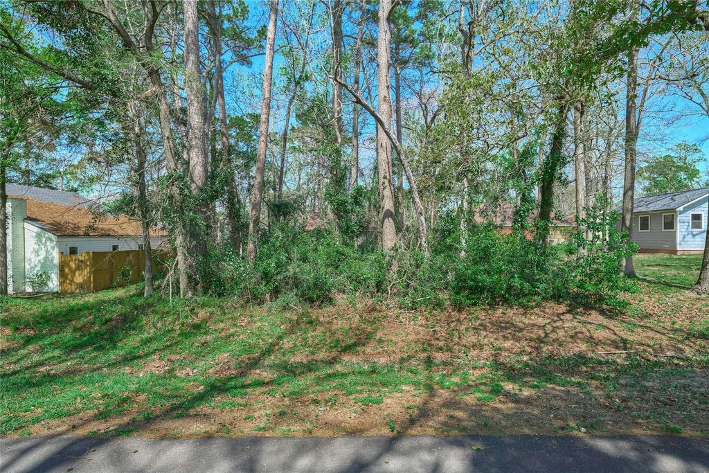 Photo of 168 Mid Pines Drive, Conroe, TX 77304 (MLS # 56753009)