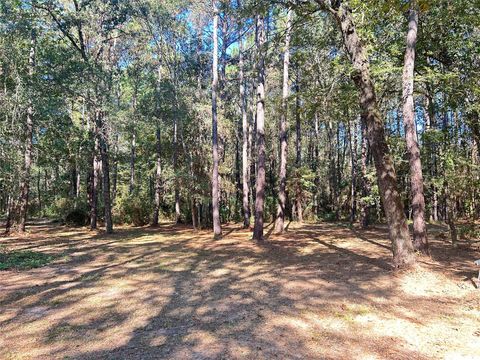 Photo of 24445 Pipestem Drive, Magnolia, TX 77355 (MLS # 69607257)