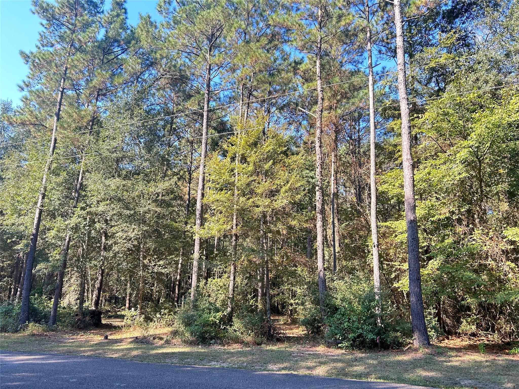 24445 Pipestem Drive