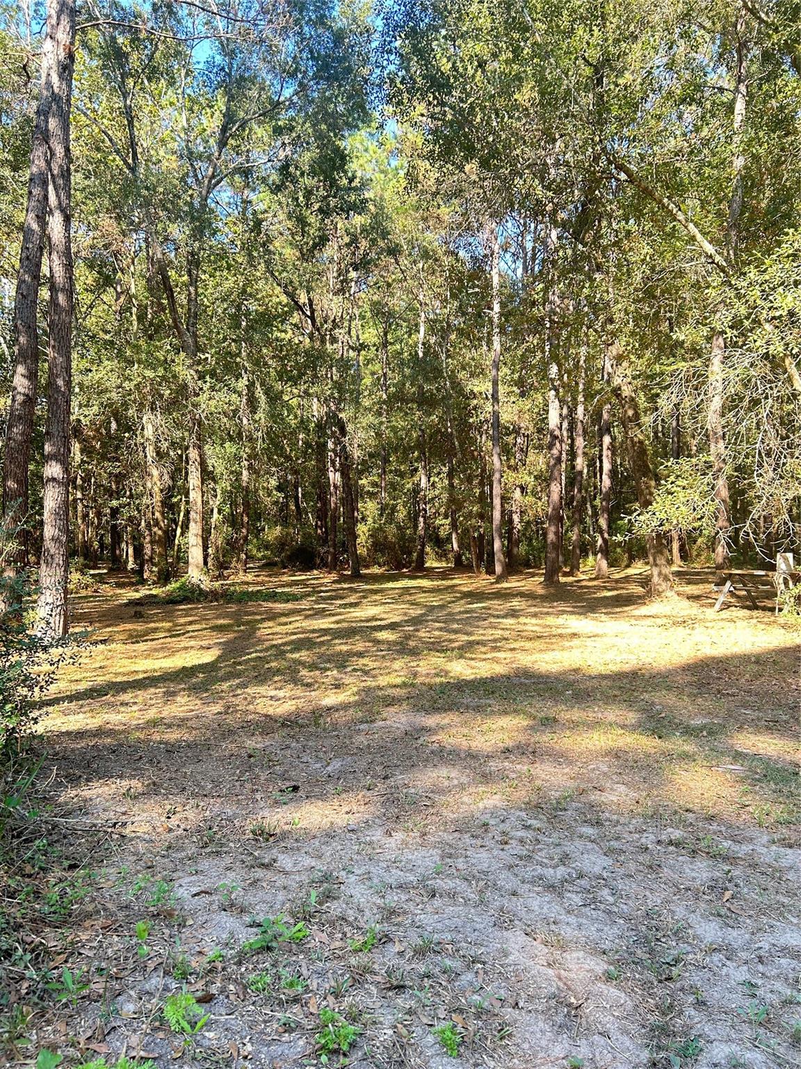 24445 Pipestem Drive