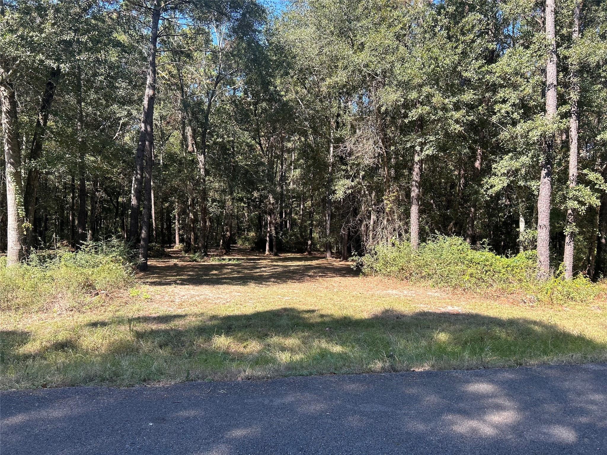 24445 Pipestem Drive