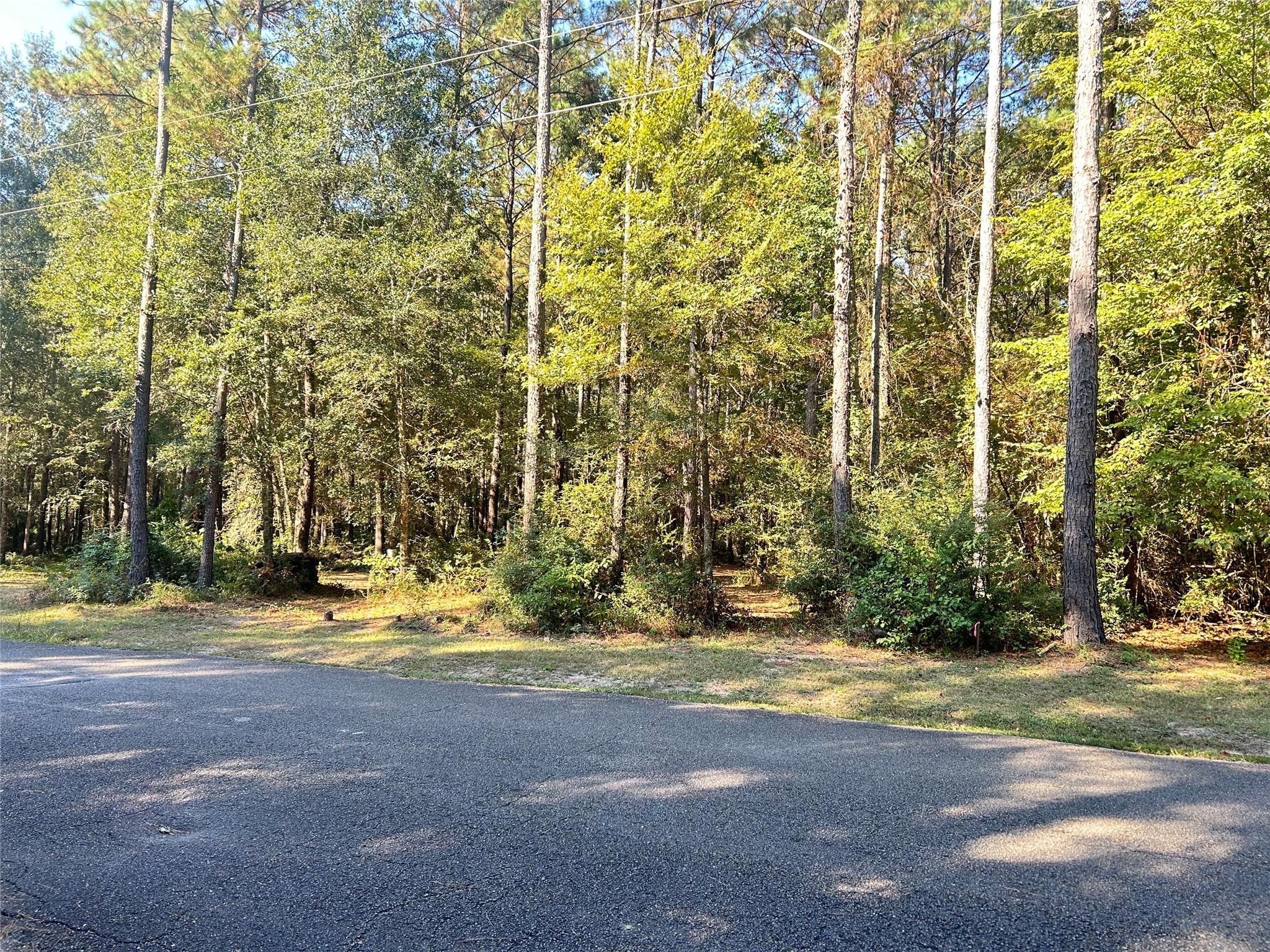 24445 Pipestem Drive