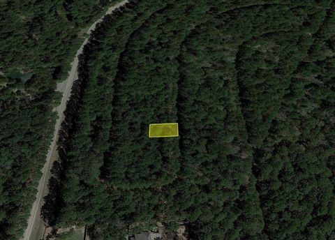 Photo of 0 White Feather Circle, Hempstead, TX 77445 (MLS # 8745361) Photo of 0 White Feather Circle, Hempstead, TX 77445 (MLS # 8745361)