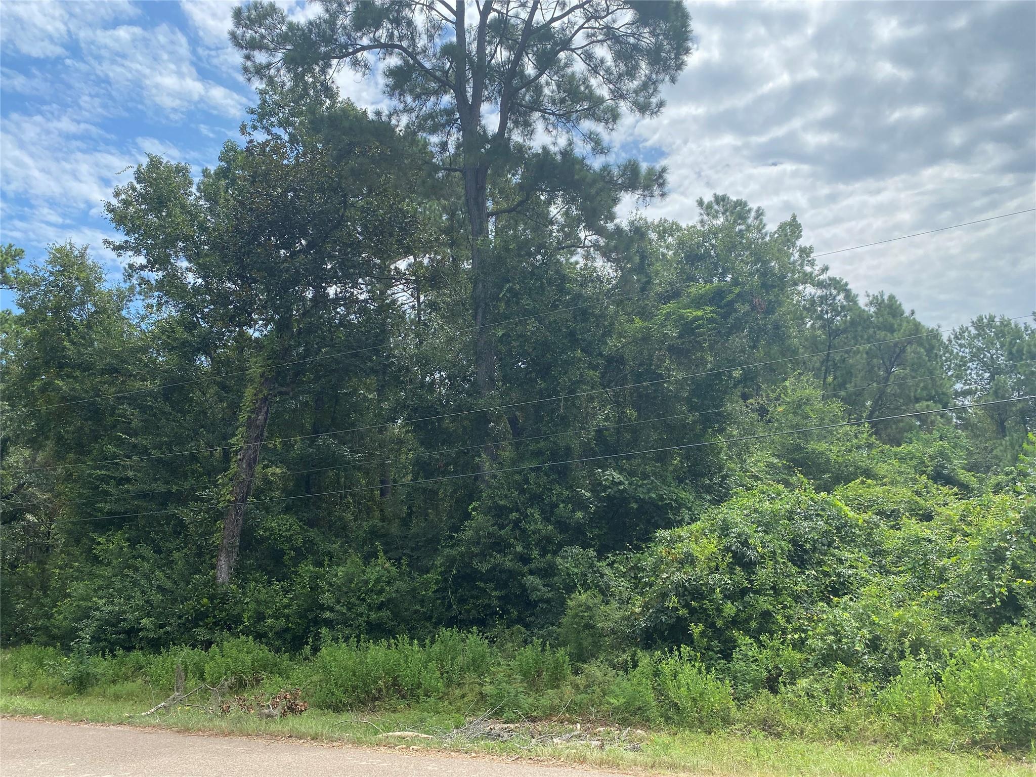 12 Redbud Dr