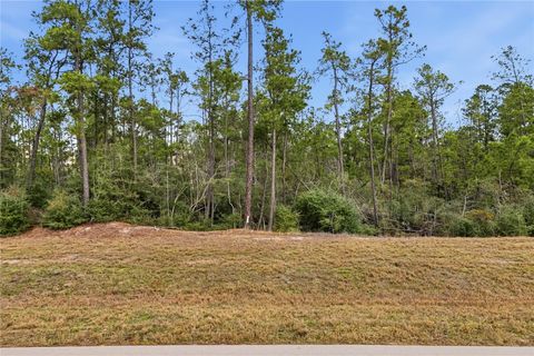 Vacant Land For Sale - 15466 Red Hawk Road<br/> Willis, TX 77378