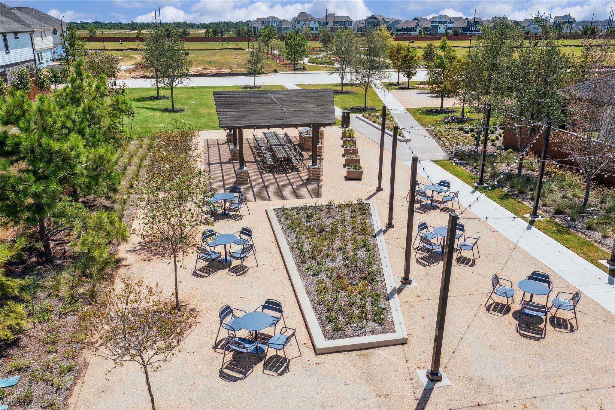 7715 Pale Petunia Trail