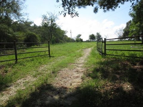 Photo of 143 Piney Woods Road, Trinity, TX 75862 (MLS # 17526840)