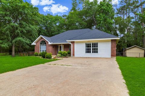 Photo of 216 N Lake Drive, Livingston, TX 77351 (MLS # 93377404)