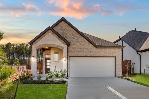295 Mallards Rim Drive Willis TX 77318