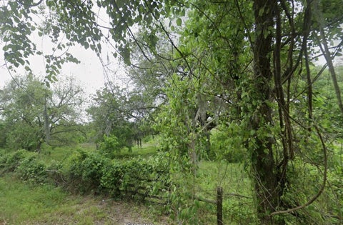 Photo of 2941 County Raod 352 Road, Brazoria, TX 77422 (MLS # 55931918)