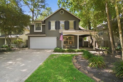 19 E New Avery Place The Woodlands TX 77382