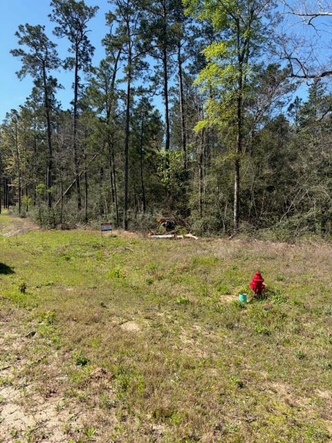 Vacant Land For Sale - 15633 Ridge Rock Road<br/> Willis, TX 77378