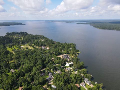 14510 Henry Calfee Drive Willis TX 77318