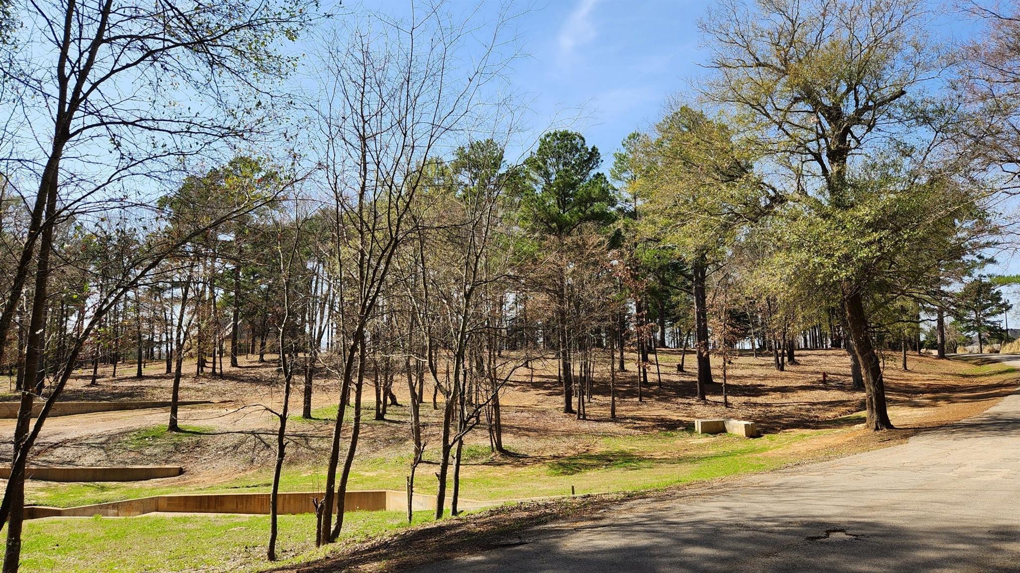 22540 County Road 1174