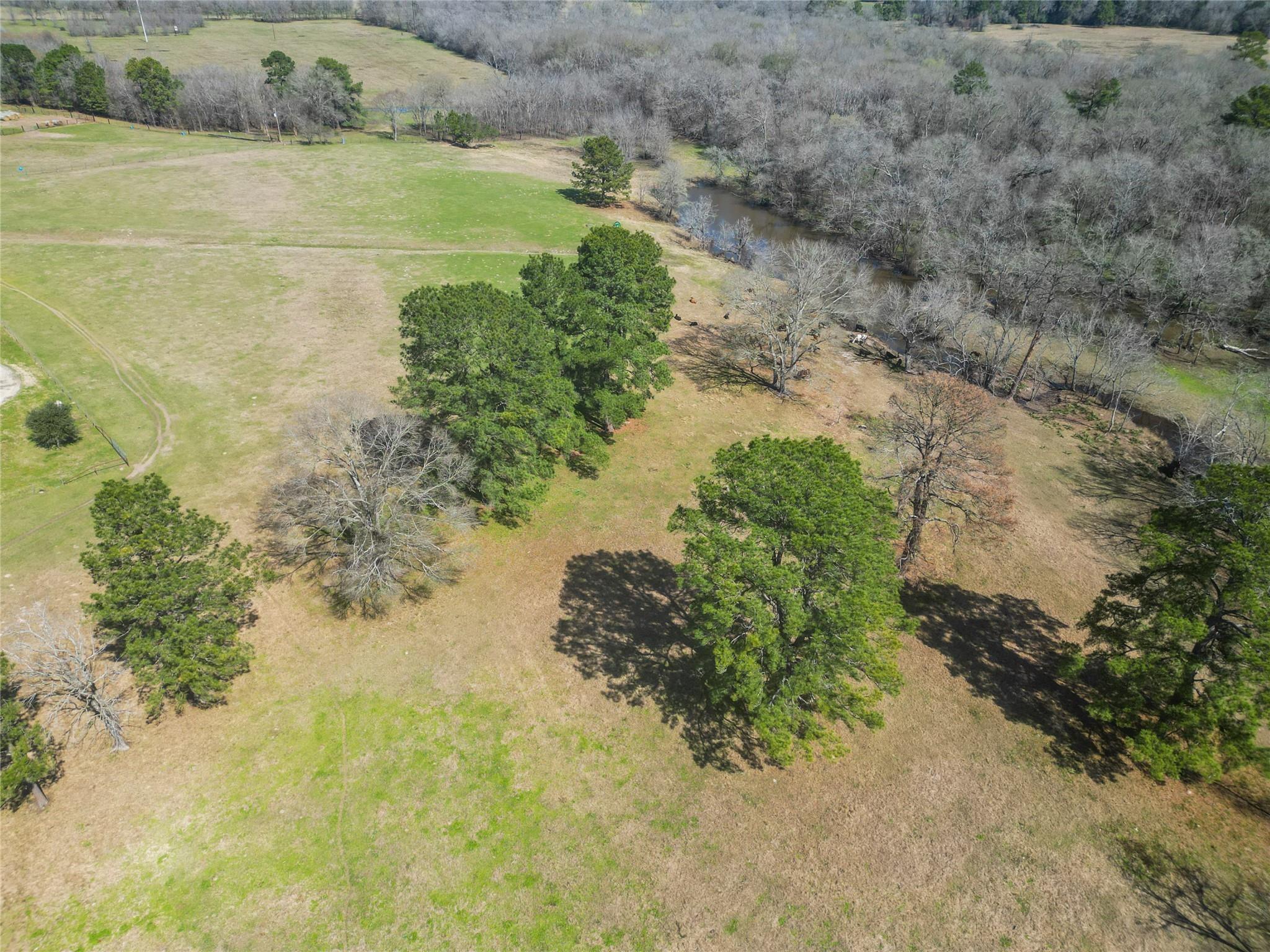 TBA Amberwood Ln