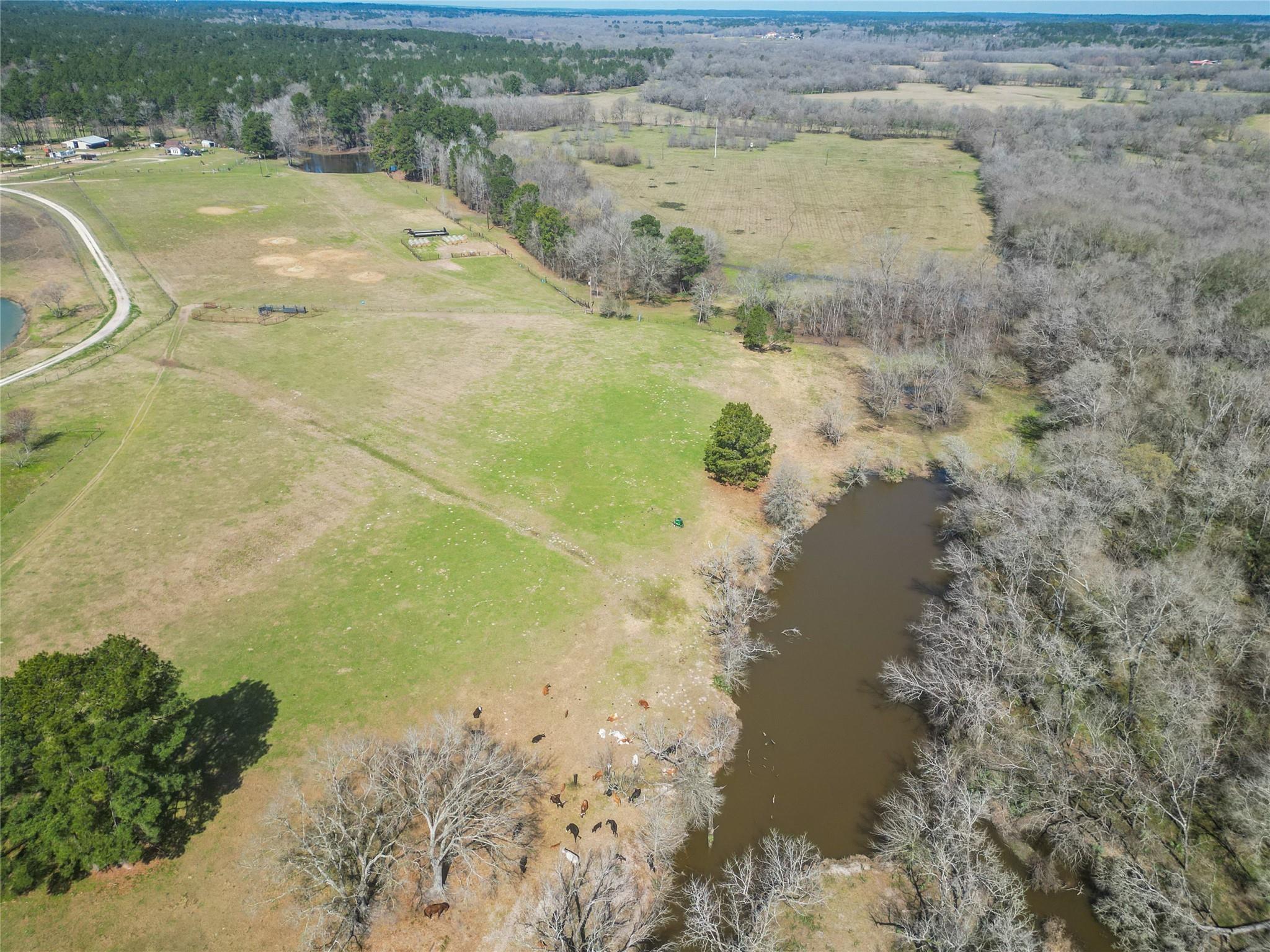 TBA Amberwood Ln