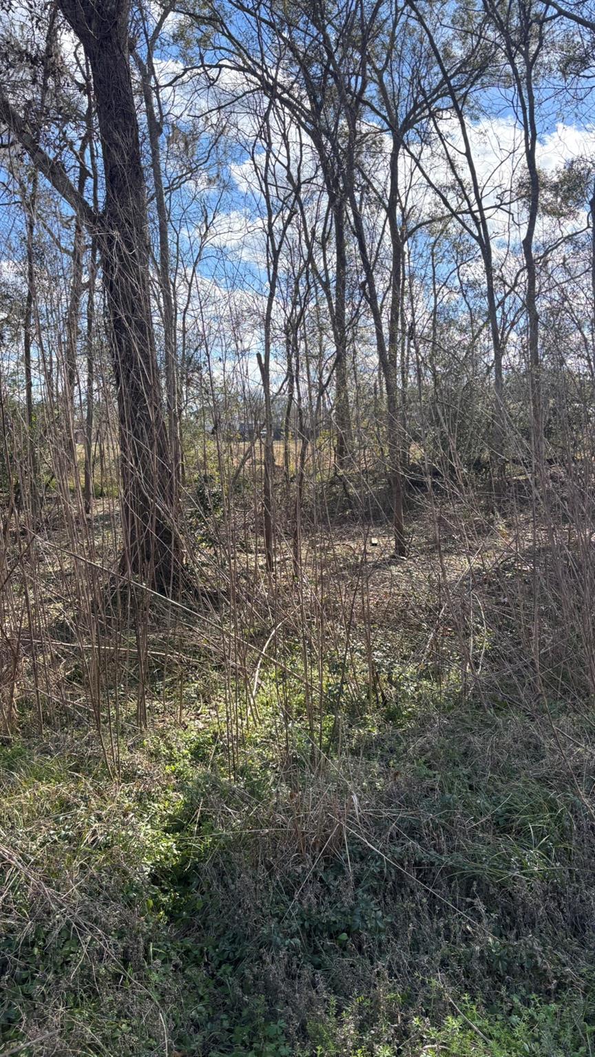 LOT 622, 620 Marshall Avenue