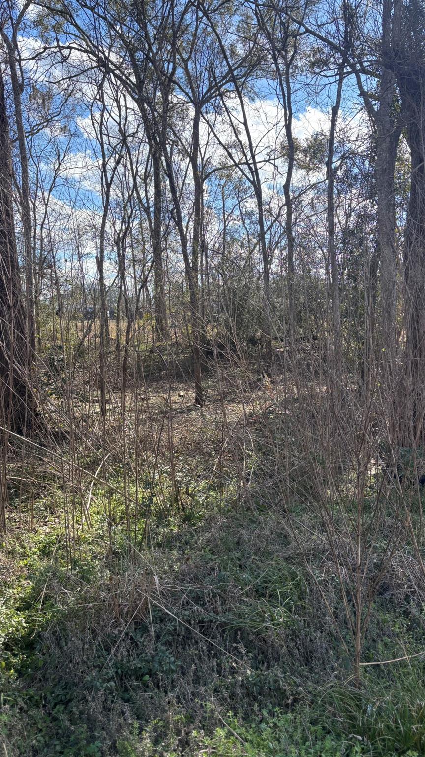 LOT 622, 620 Marshall Avenue