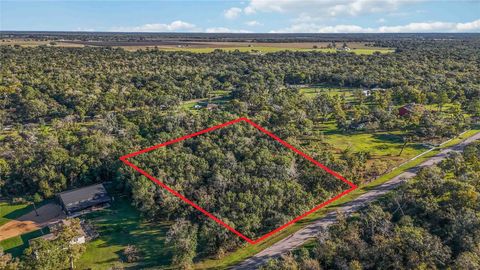 Vacant Land For Sale - 6051 Loyce Lane<br/> Damon, TX 77430