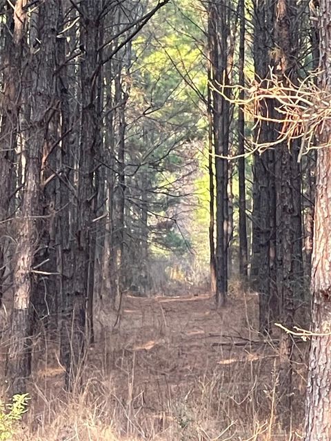 Vacant Land For Sale - NA Kickapoo Road<br/> Trinity County, Groveton, TX 75845