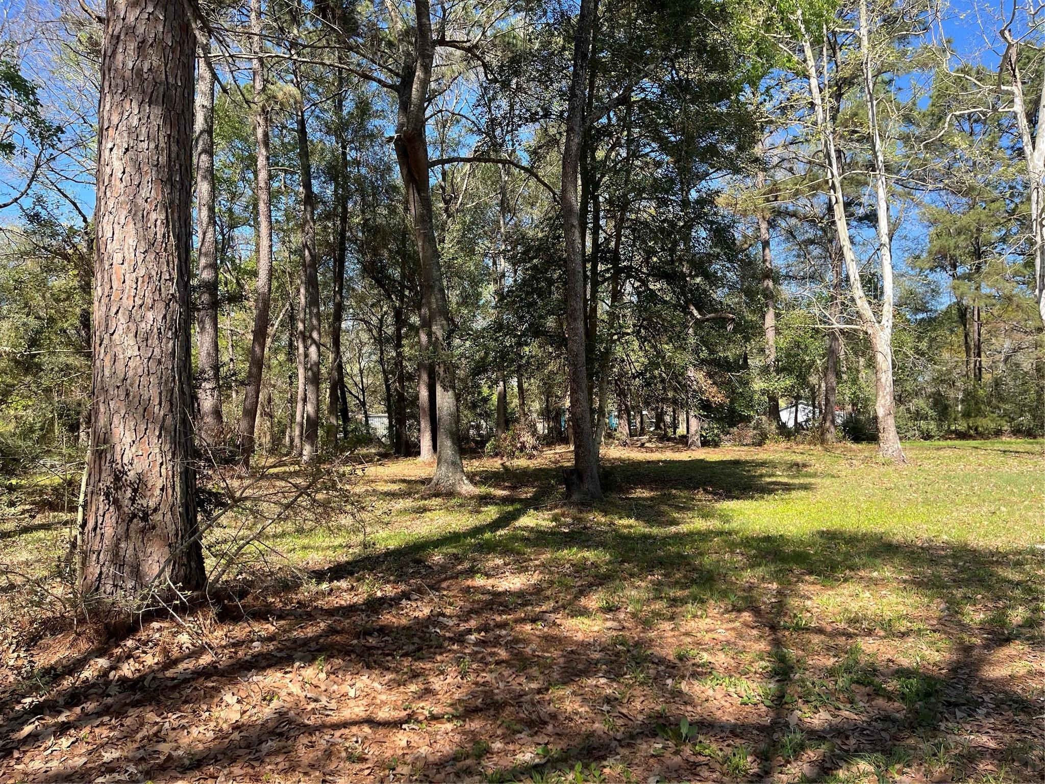 13527 Mccomb Road