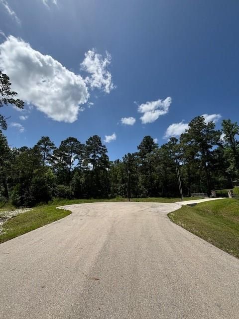 Photo of 207 Sandpiper Drive, New Waverly, TX 77358 (MLS # 63098136)