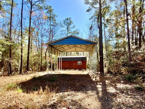 Photo of 837 Brackenridge, Livingston, TX 77351 (MLS # 86048362)